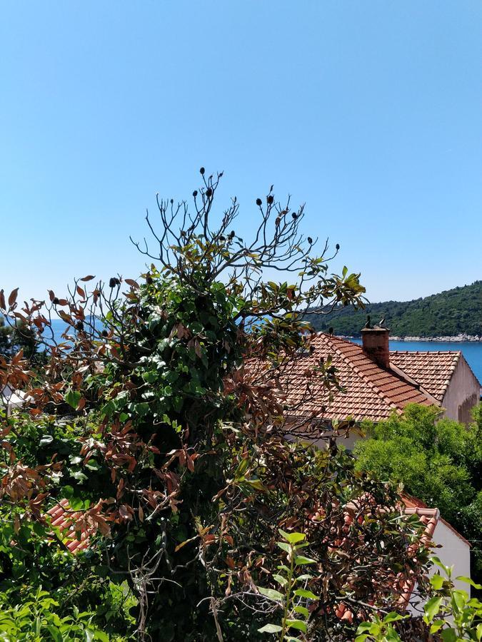 Adriatic Apartments Дубровник Экстерьер фото